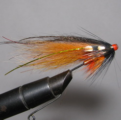 ���� ������� ���� Sunburst ( ��� ������ )